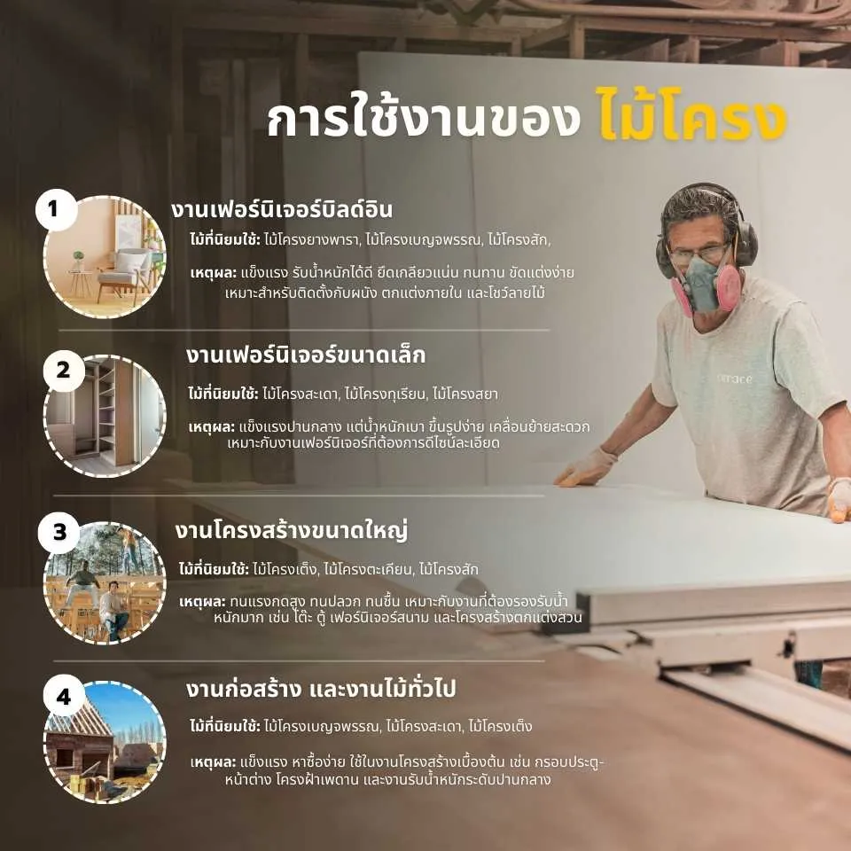 การใช้งานของไม้โครงแต่ละชนิด – เปรียบเทียบคุณสมบัติ ความแข็งแรง และความเหมาะสมของไม้โครงสำหรับงานเฟอร์นิเจอร์และตกแต่ง