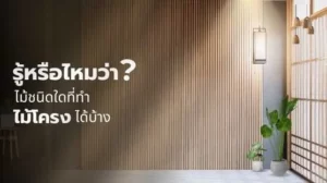 รู้หรือไม่ว่า? ไม้ชนิดใดสามารถนำมาทำไม้โครงได้บ้าง – เปรียบเทียบคุณสมบัติของไม้โครงแต่ละประเภทเพื่อการเลือกใช้ที่เหมาะสม