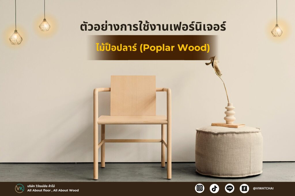 ไม้ป็อปลาร์ (Poplar Wood)
