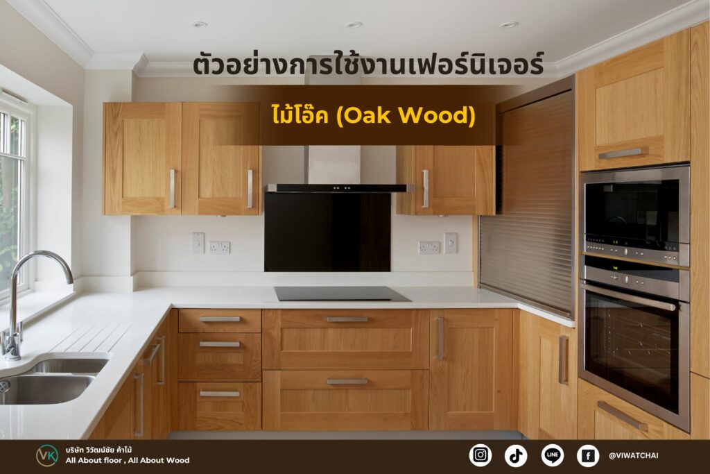 ไม้ต่างประเทศ ไม้โอ๊ค (Oak Wood) เนื้อไม้แข็งแรง ทนทาน โดดเด่นด้วยลวดลายธรรมชาติ เหมาะสำหรับงานเฟอร์นิเจอร์และพื้นไม้