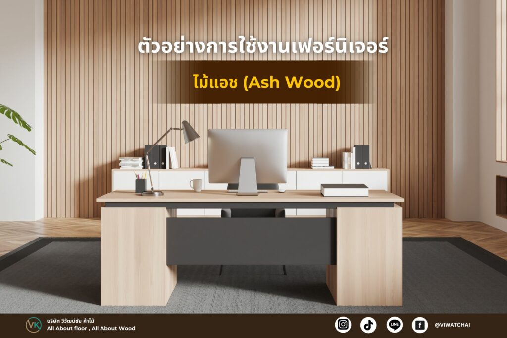 ไม้แอช (Ash Wood)
