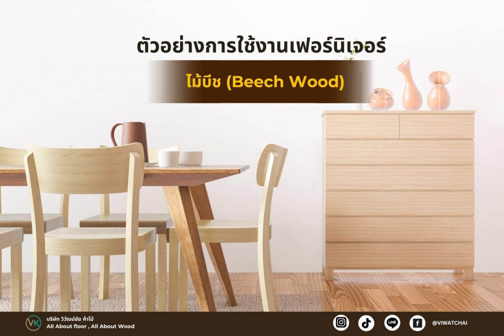 ไม้ต่างประเทศ ไม้บีช (Beech Wood) เนื้อไม้สีอ่อน แข็งแรง ทนทาน ลายไม้ละเอียด เหมาะสำหรับเฟอร์นิเจอร์และงานตกแต่ง