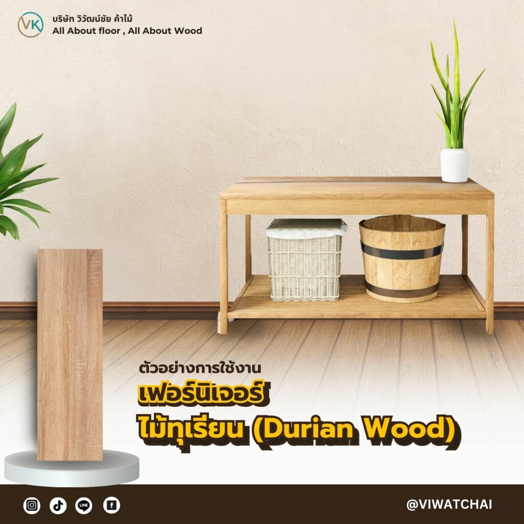 ไม้ทุเรียน (Durian Wood) – น้ำหนักเบา ตัดแต่งง่าย ราคาถูก