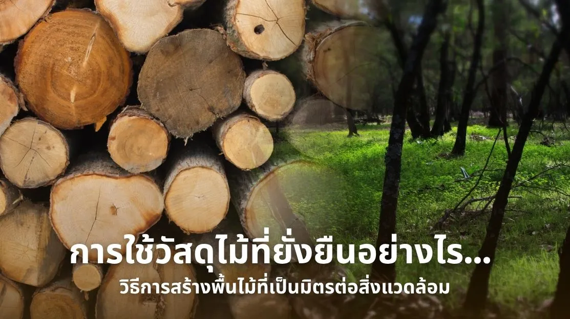 การใช้วัสดุไม้ที่ยั่งยืน | พื้นไม้เป็นมิตรต่อสิ่งแวดล้อมจากไม้ปลูกและพลังงานหมุนเวียน