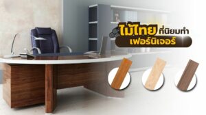 ไม้ไทย ที่นิยม ทำเฟอร์นิเจอร์