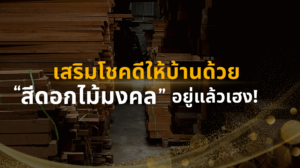 หน้าปก สีดอกไม้มงคล เลือกสีเสริมดวง ความหมายดี เสริมโชคลาภ