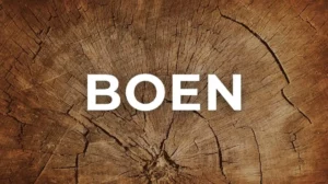 พื้นไม้เอ็นจิเนียร์ BOEN โทนโอ๊คธรรมชาติ เรียบหรู สไตล์ยุโรป