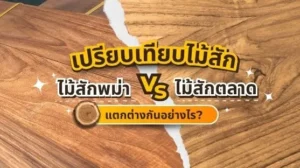ภาพเปรียบเทียบไม้สักพม่ากับไม้สักตลาด เห็นความแตกต่างของสีและลายไม้อย่างชัดเจน