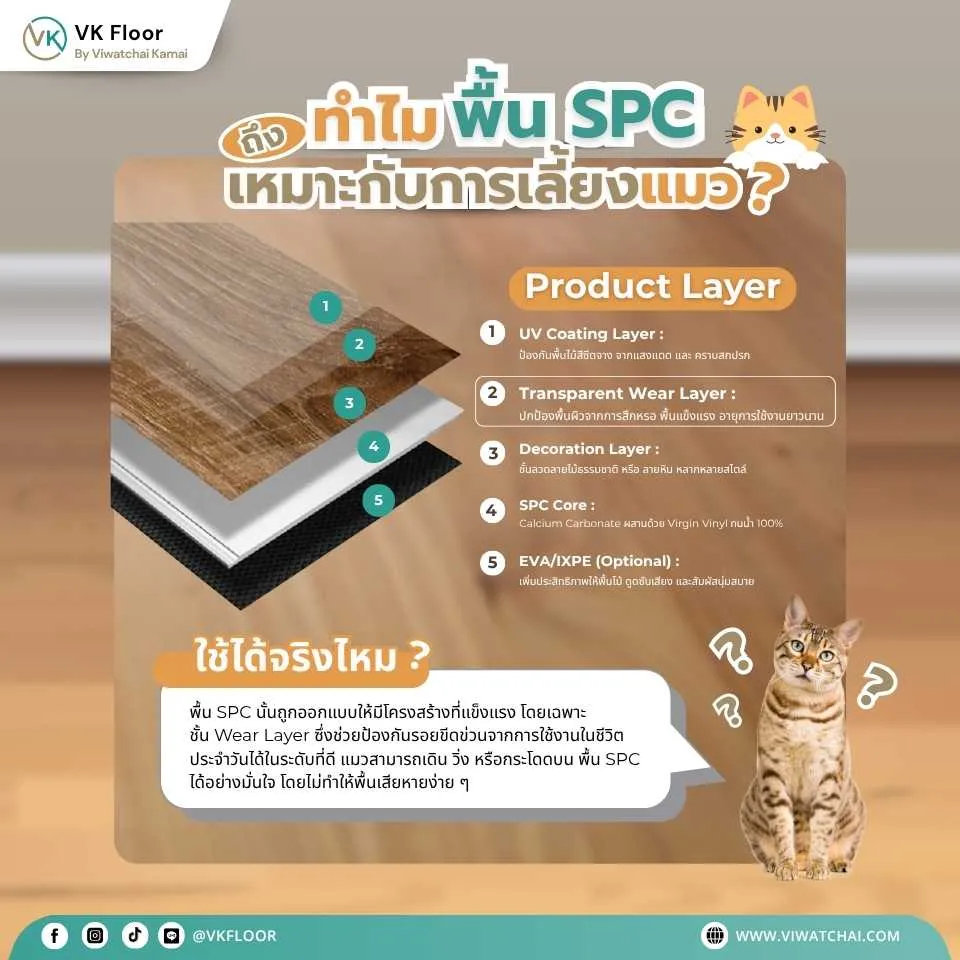 แมวนั่งเล่นบนพื้น กระเบื้องยาง SPC ที่ทนรอยขีดข่วนและกันน้ำได้ดี