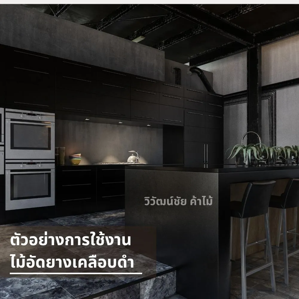ชุดครัวบิวท์อินสีดำทันสมัย ทำจากไม้อัดยางเคลือบดํา