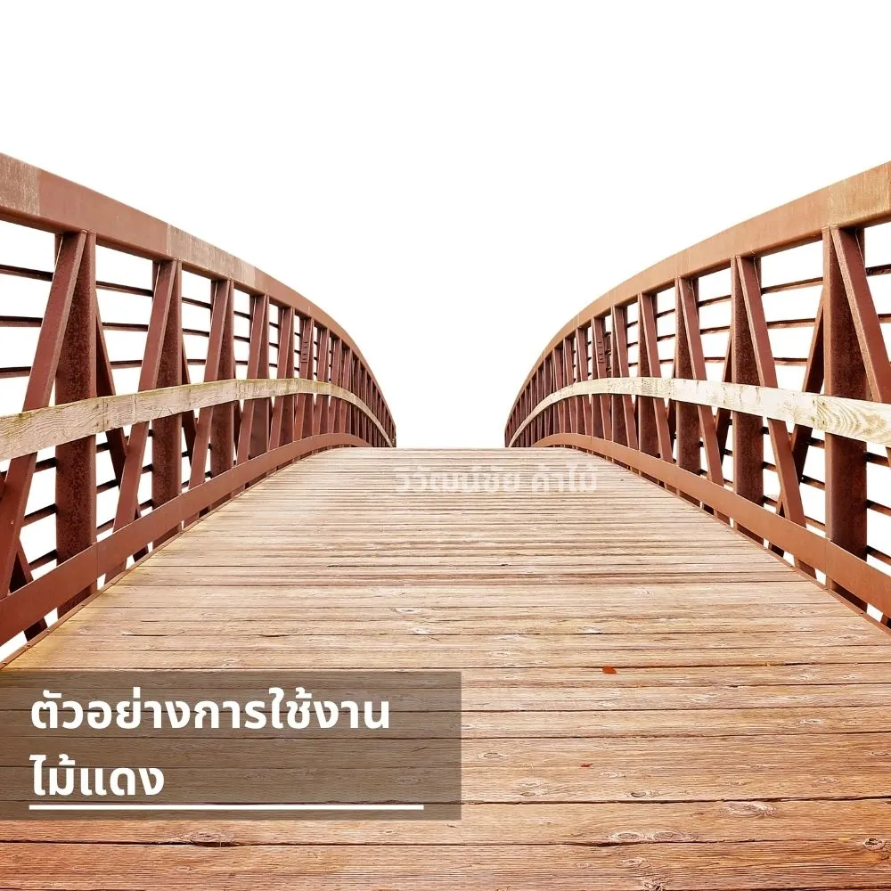 สะพานไม้แดง โครงสร้างไม้เนื้อแข็ง ทนทานสำหรับงานภายนอก