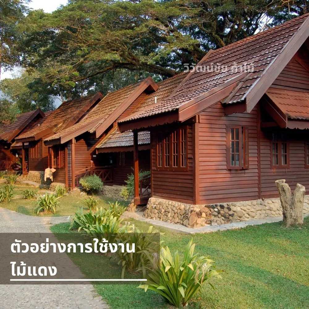 บ้านไม้รีสอร์ทใช้ไม้แดงทั้งหลัง โครงสร้างภายนอกสวยทนทาน กลมกลืนกับธรรมชาติ