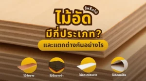 ไม้อัดแต่ละประเภท พร้อมตัวอย่างการใช้งานและความแตกต่าง