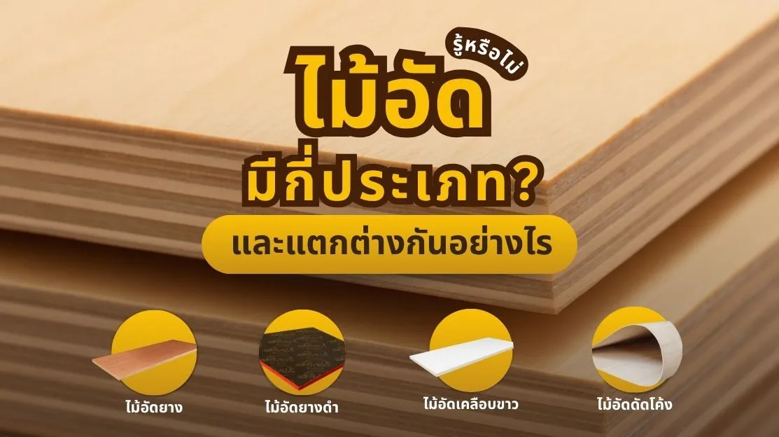 ไม้อัดแต่ละประเภท พร้อมตัวอย่างการใช้งานและความแตกต่าง