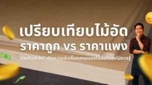 ไม้อัดยางราคาถูก vs ไม้อัดยางราคาแพง | เปรียบเทียบเกรดไม้อัดที่ช่างไม้ควรรู้