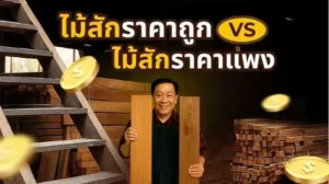 เปรียบเทียบไม้สักราคาถูกและไม้สักราคาแพง ดูความต่างของสี ลายไม้ อายุ และคุณภาพ