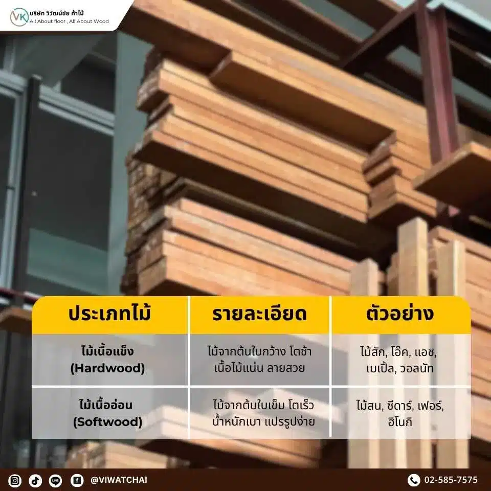 นิยามของไม้ประเภทต่าง ๆ ทั้งไม้เนื้อแข็ง ไม้เนื้ออ่อน และไม้แปรรูป เพื่อช่วยให้เข้าใจลักษณะและการใช้งานที่เหมาะสม