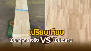 ไม้ยางพาราประสาน แข็งแรงไหม เปรียบเทียบไม้ยางพาราจริงและไม้ประสาน