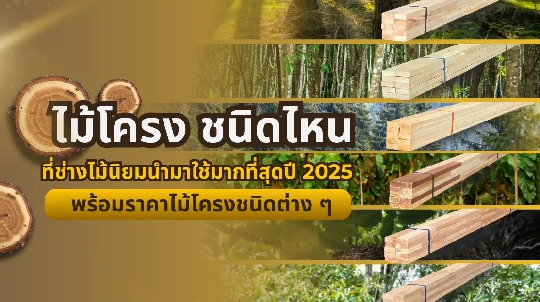 ภาพหน้าปกบทความไม้โครง ชนิดยอดนิยมปี 2025 พร้อมเปรียบเทียบราคาไม้โครงแต่ละชนิด