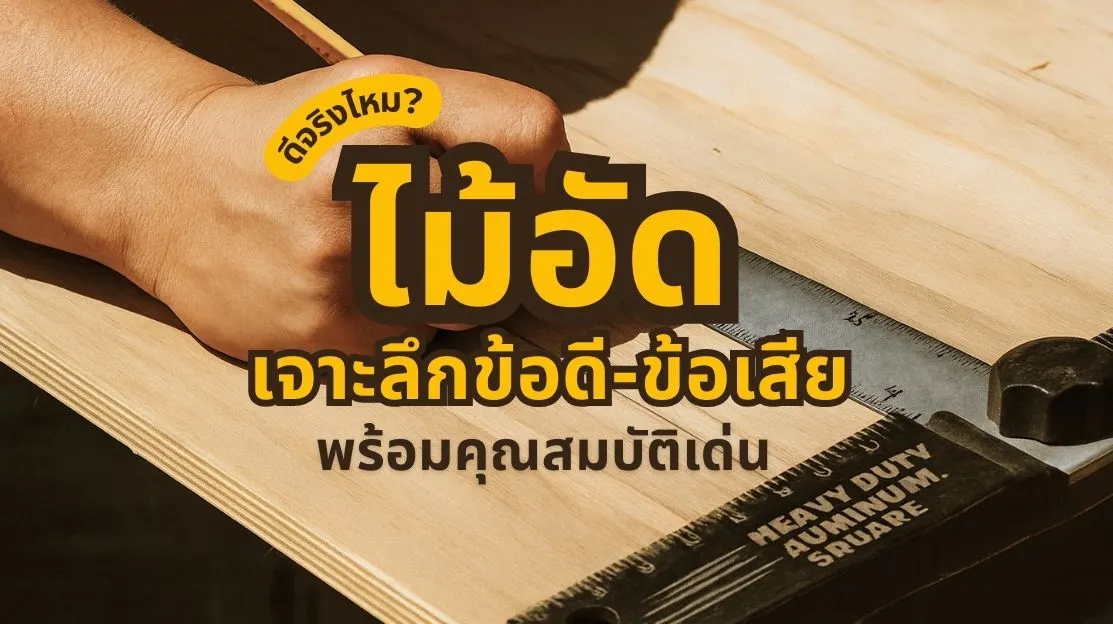 ไม้อัด ดีจริงไหม ข้อดี-ข้อเสีย และเหตุผลที่ไม้อัดเป็นวัสดุยอดนิยมในงานเฟอร์นิเจอร์และก่อสร้าง