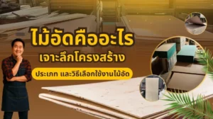 ภาพหน้าปกบทความอธิบายไม้อัดคืออะไร พร้อมโครงสร้าง ขนาด และประเภทของไม้อัดที่ควรรู้
