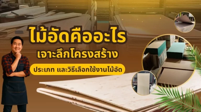 ภาพหน้าปกบทความอธิบายไม้อัดคืออะไร พร้อมโครงสร้าง ขนาด และประเภทของไม้อัดที่ควรรู้
