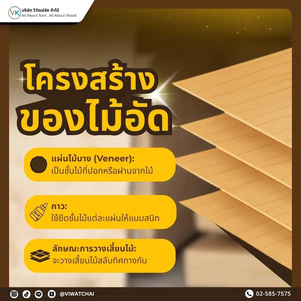 โครงสร้างของไม้อัด แสดงการเรียงชั้นของแผ่นไม้บางและกาวที่ประกอบกันเป็นแผ่นไม้อัดสำเร็จรูป