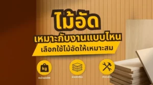 ไม้อัดเหมาะกับงานแบบไหน เลือกใช้ไม้อัดให้เหมาะสมกับงานก่อสร้างและเฟอร์นิเจอร์