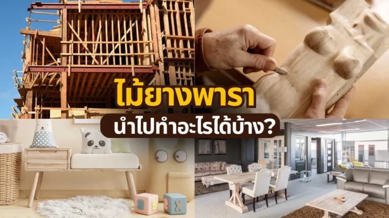 ไม้ยางพารา นำไปทำอะไรได้บ้าง รวมไอเดียใช้งานจริง ทั้งเฟอร์นิเจอร์และงาน DIY
