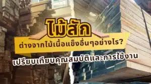 เปรียบเทียบไม้สักกับไม้เนื้อแข็งชนิดอื่น ๆ เพื่อดูความแตกต่างด้านคุณสมบัติ ความแข็งแรง และการใช้งานในบ้าน