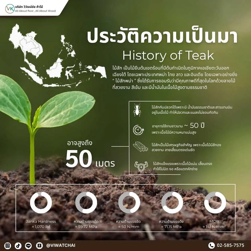 ประวัติความเป็นมาของไม้สัก วัสดุธรรมชาติที่มีคุณค่าและใช้มายาวนานในงานก่อสร้างและเฟอร์นิเจอร์