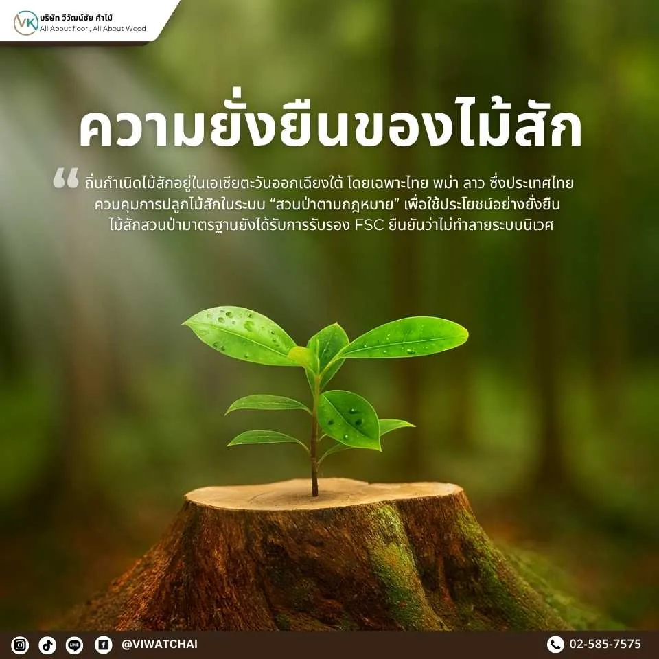 ความยั่งยืนของไม้สักกับการจัดการป่าไม้และการใช้งานอย่างรับผิดชอบ