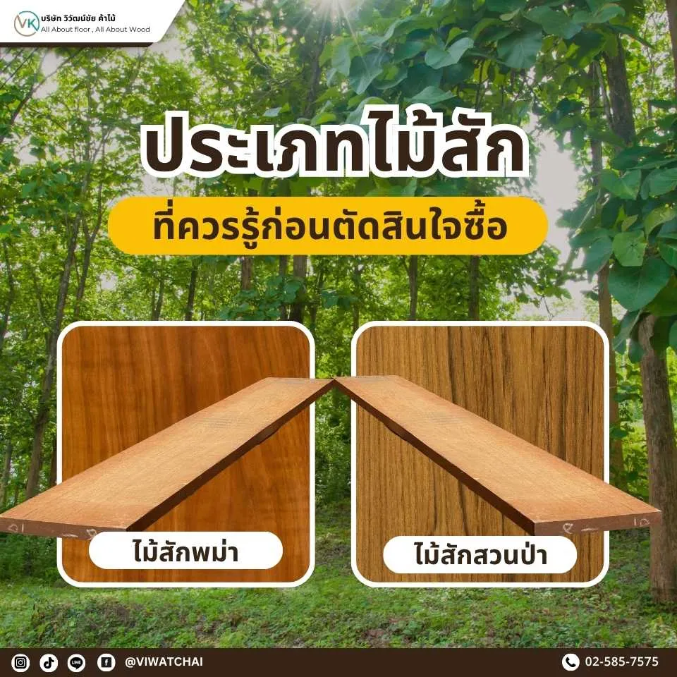 ประเภทไม้สัก ที่ควรรู้ก่อนตัดสินใจซื้อ เปรียบเทียบคุณสมบัติและการใช้งาน เทียบกับไม้ MDF