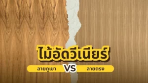 ไม้อัดวีเนียร์ลายตรง และลายภูเขา | ตัวอย่างลายไม้ธรรมชาติจากไม้โอ๊ค วอลนัท และเมเปิ้ล