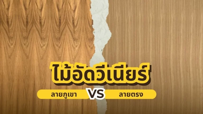 ไม้อัดวีเนียร์ลายตรง และลายภูเขา | ตัวอย่างลายไม้ธรรมชาติจากไม้โอ๊ค วอลนัท และเมเปิ้ล