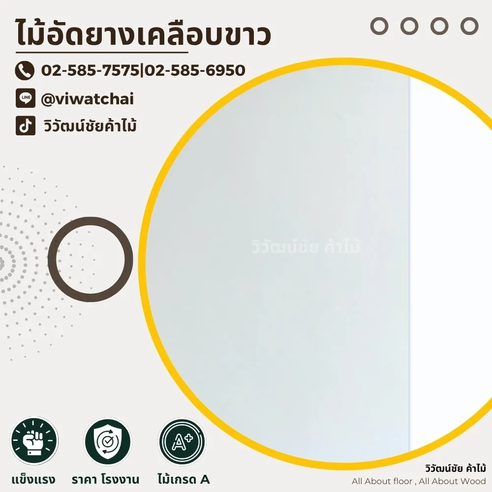 White-coated rubberwood plywood board close-up – smooth surface and high-quality finish