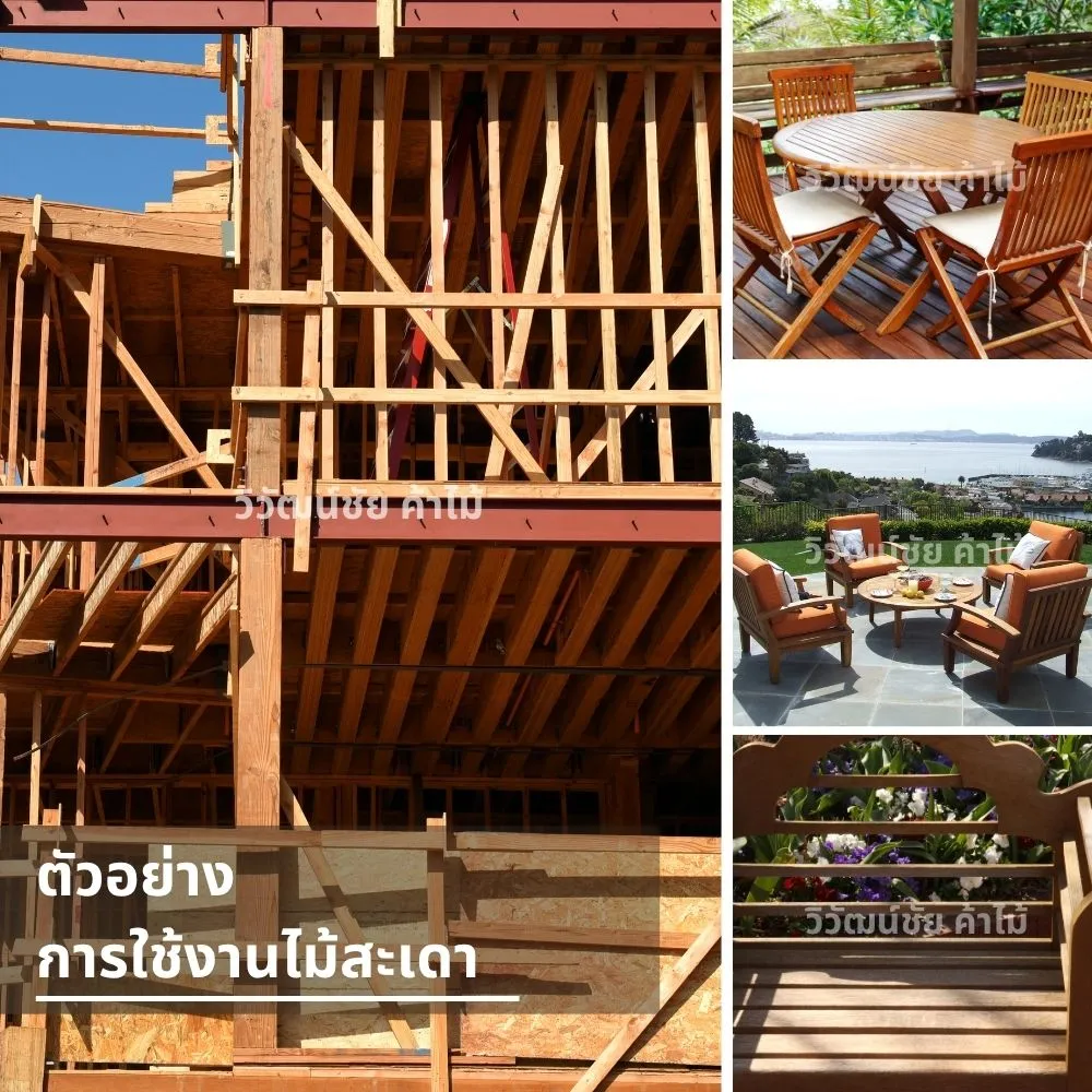 การใช้งานไม้สะเดาในงานโครงสร้างและเฟอร์นิเจอร์
