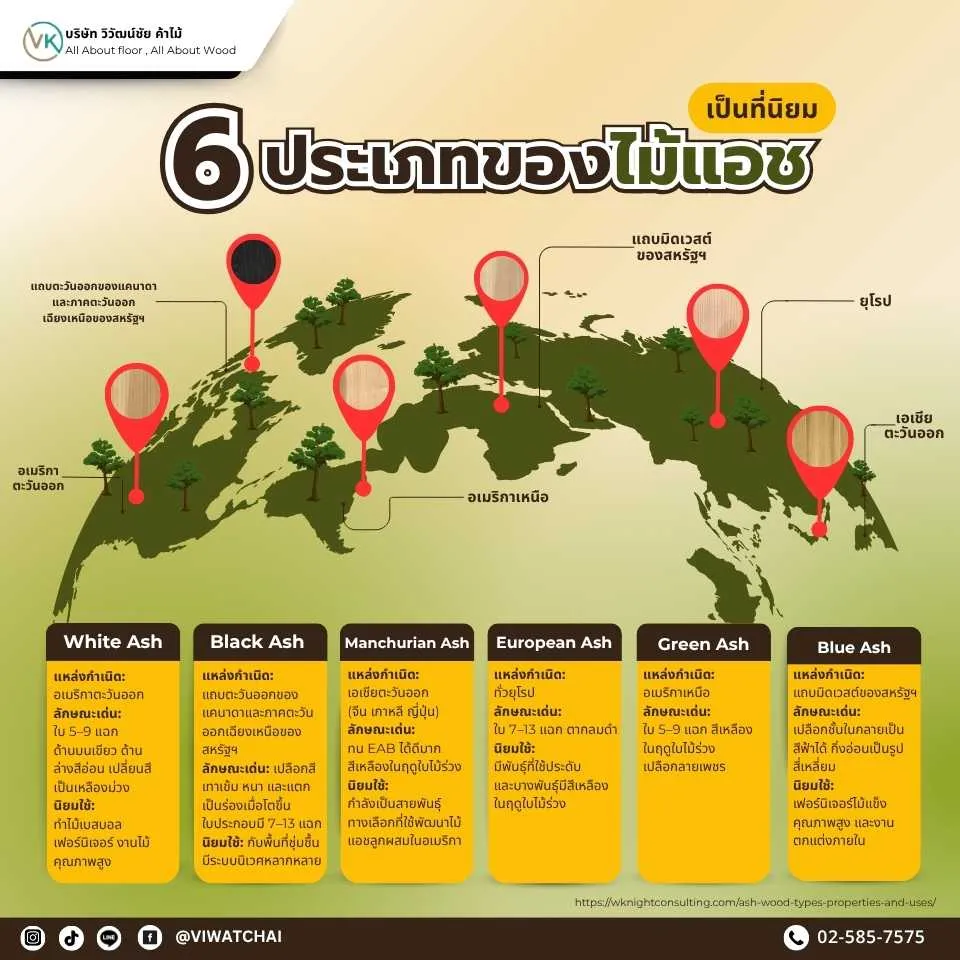 6 ประเภทของไม้แอช พร้อมชื่อวิทยาศาสตร์และจุดเด่นของแต่ละสายพันธุ์