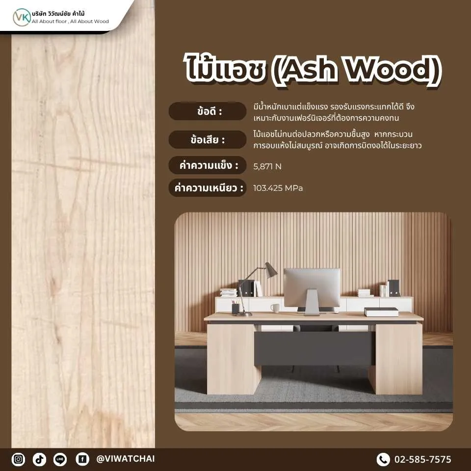 ไม้แอช (Ash Wood) ไม้แปรรูปคุณภาพสูง ใช้ในงานเฟอร์นิเจอร์และการก่อสร้าง"
