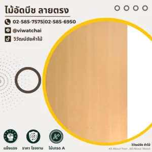 ไม้อัดบีชลายตรง สีอ่อน เรียบเนียน