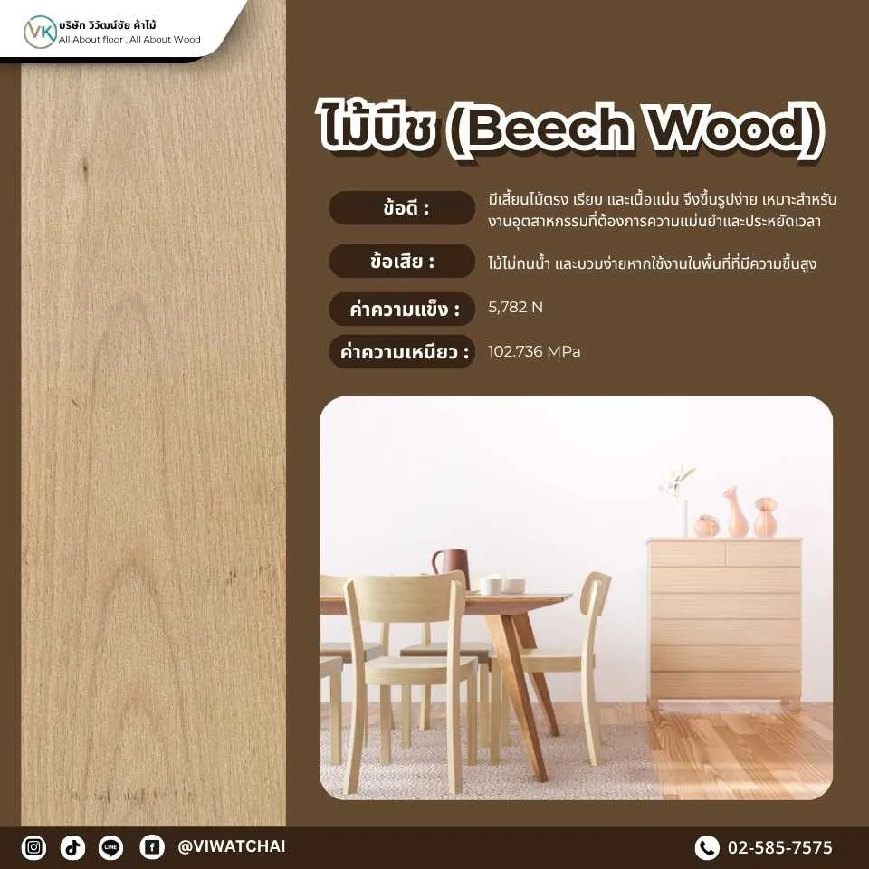 ไม้บีช (Beech Wood) - ไม้แปรรูปคุณภาพสูงที่มีความแข็งแรง ทนทานและเหมาะสำหรับการใช้งานในงานเฟอร์นิเจอร์และการตกแต่งภายใน