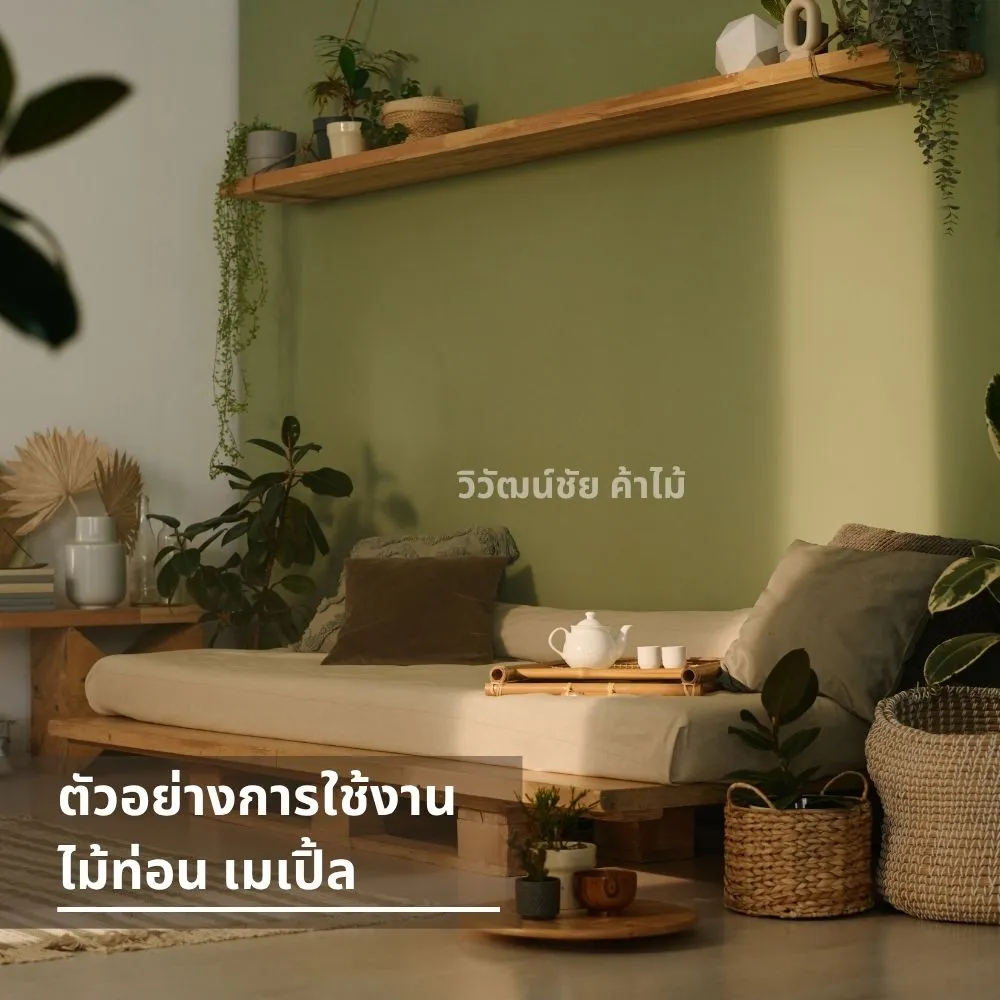 ห้องนั่งเล่นตกแต่งด้วยไม้เมเปิ้ล ทั้งชั้นวางและฐานโซฟา โทนอบอุ่นแนวธรรมชาติ