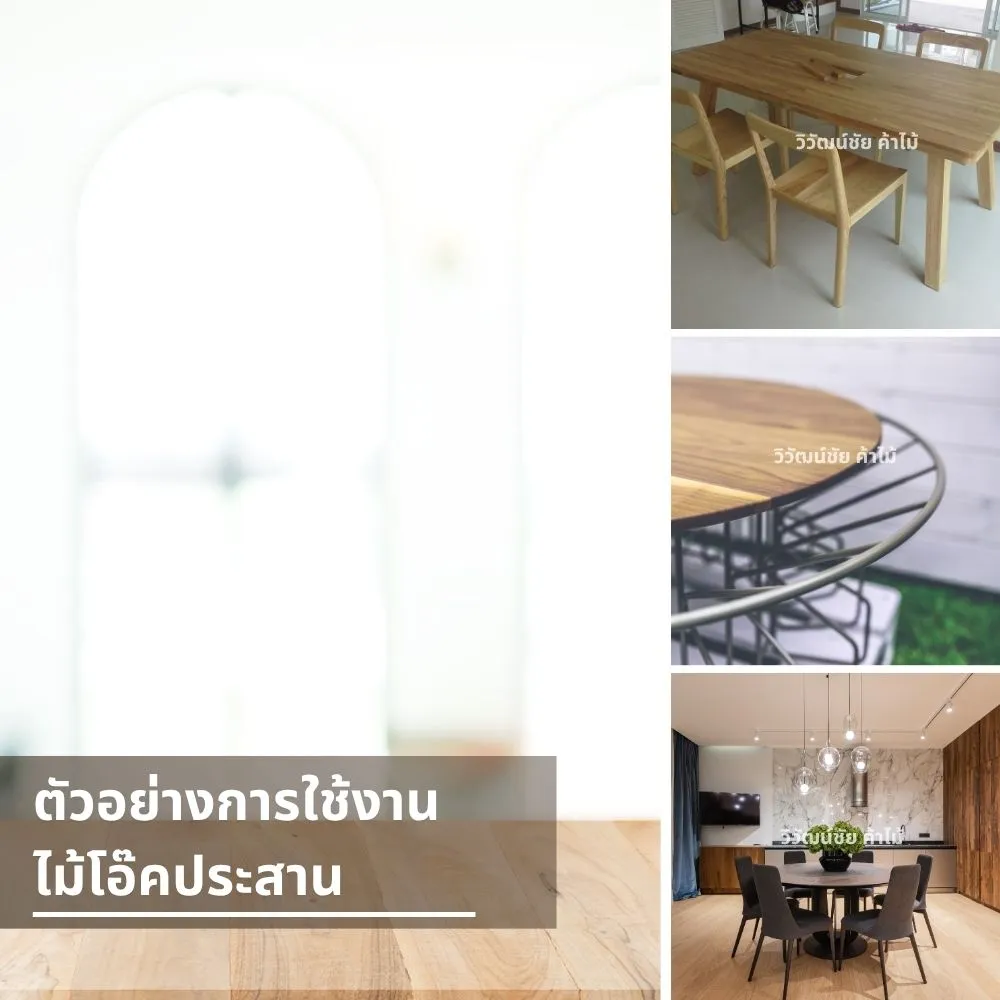 ไม้โอ๊คประสานใช้ทำโต๊ะ เก้าอี้ และพื้นบ้านได้หลากหลาย