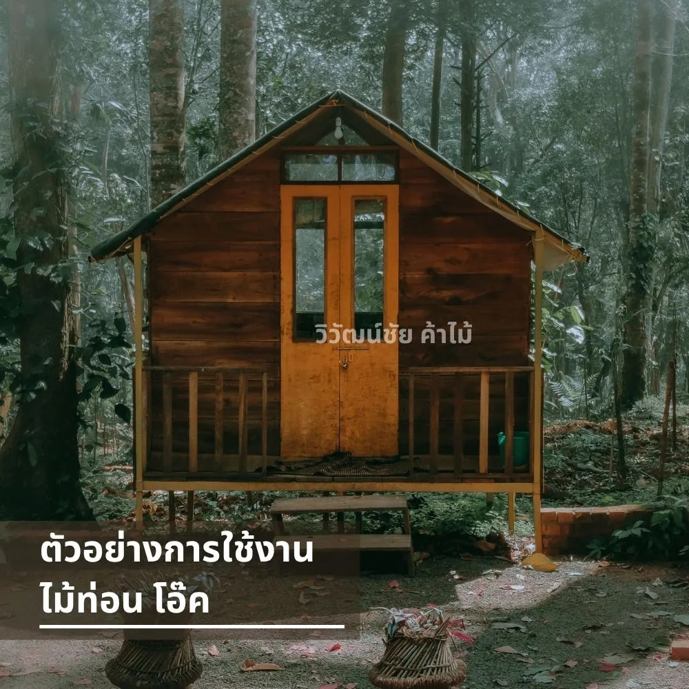 บ้านไม้โอ๊คเล็กกลางป่าไม้ เหมาะกับธรรมชาติ