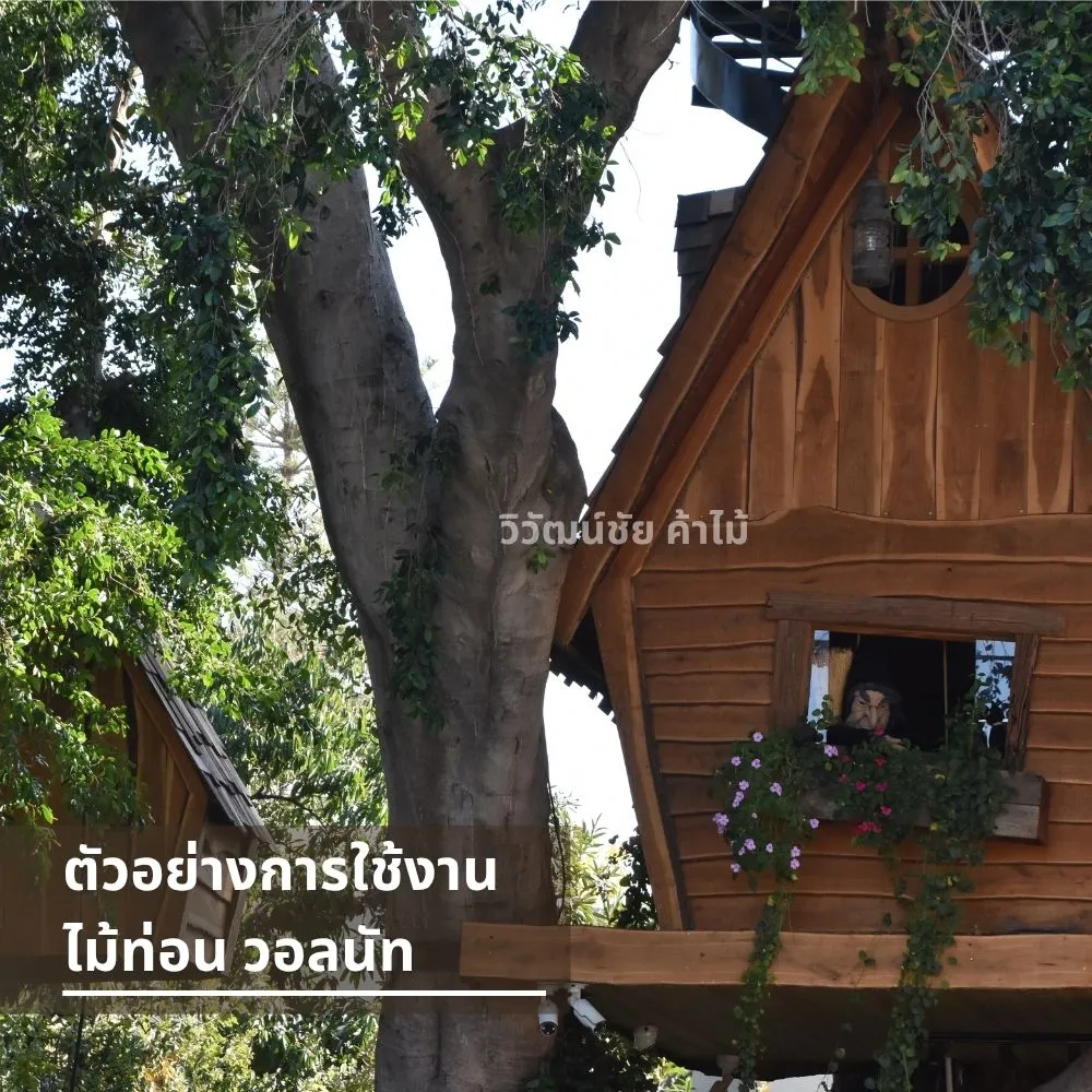 บ้านต้นไม้สร้างจากไม้ท่อนวอลนัท ลายไม้เข้ม สไตล์ธรรมชาติ ท่ามกลางต้นไม้ใหญ่