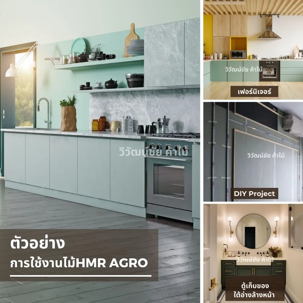งานครัว เฟอร์นิเจอร์บิวต์อิน DIY และตู้ล้างหน้าใช้ HMR Agro