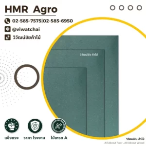 แผ่น HMR Agro สีเขียวเข้ม เหมาะกับงานเฟอร์นิเจอร์และพื้นที่ชื้น