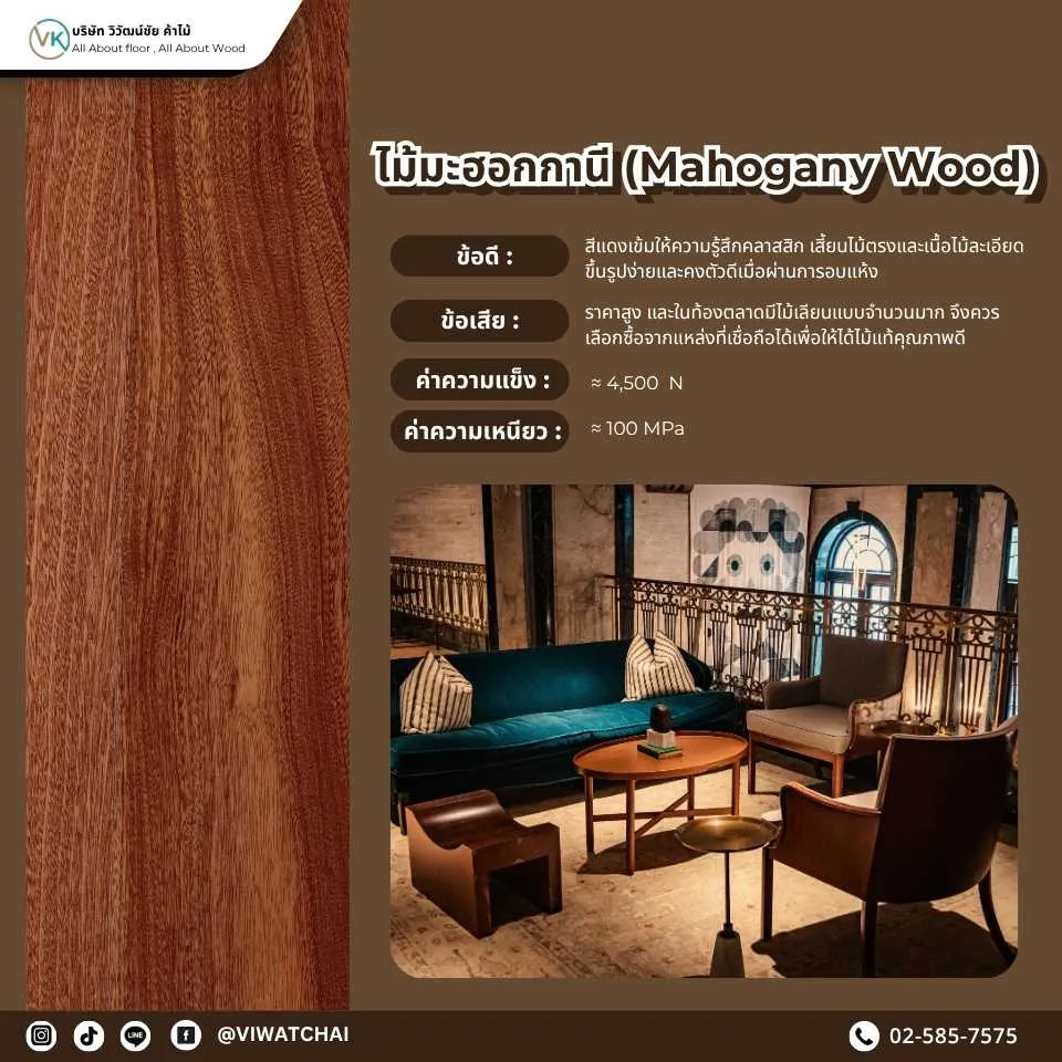 ไม้มะฮอกกานี (Mahogany Wood) - ไม้แปรรูปคุณภาพสูงที่มีสีสันเข้มและทนทาน เหมาะสำหรับการทำเฟอร์นิเจอร์และงานตกแต่งที่ต้องการความหรูหรา