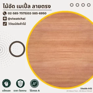 ไม้อัดเมเปิ้ลลายตรง สีครีมอมน้ำตาลอ่อน