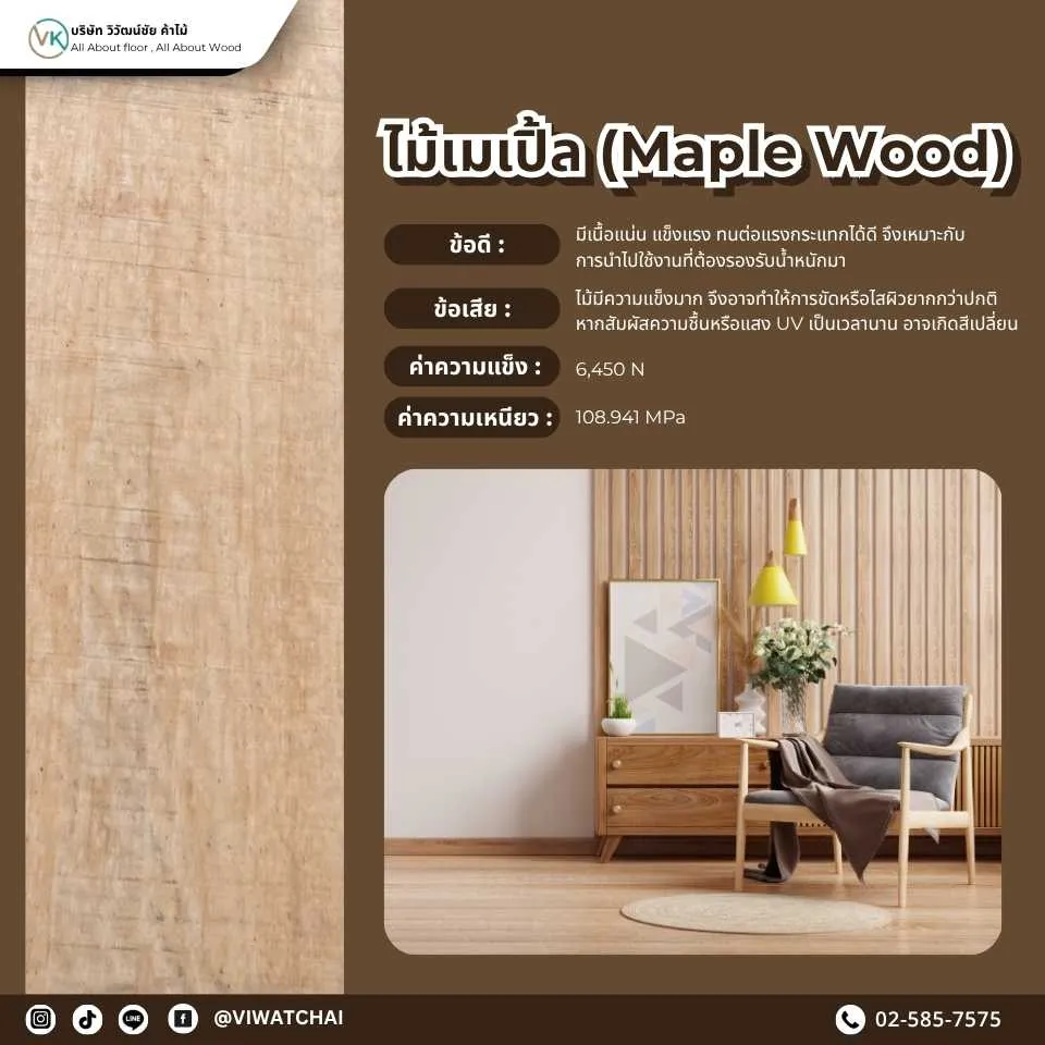 ไม้แปรรูปจากไม้เมเปิ้ล (Maple Wood) - ไม้แปรรูปที่มีความทนทานสูงและสีสันที่สวยงาม เหมาะสำหรับการใช้งานในเฟอร์นิเจอร์และงานตกแต่ง